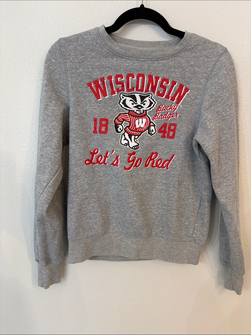 Univ of  Wisconsin Sweatshirt with Bucky Badger from ProEdge by Knights Apparel
